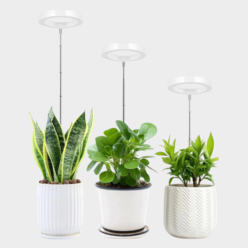 ThriveBeam™ - Lampe de Croissance LED à Spectre Complet