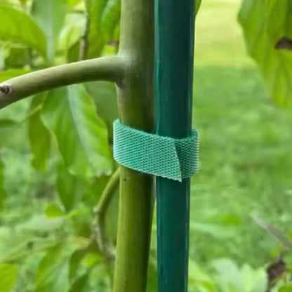 GreenGrip™ — Attaches de Jardin Réutilisables Ultra-Résistantes