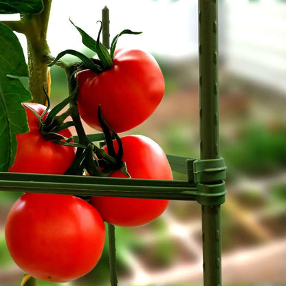 GreenSpire – Piquets de Jardin Ultra-Résistants pour Plantes Grimpantes