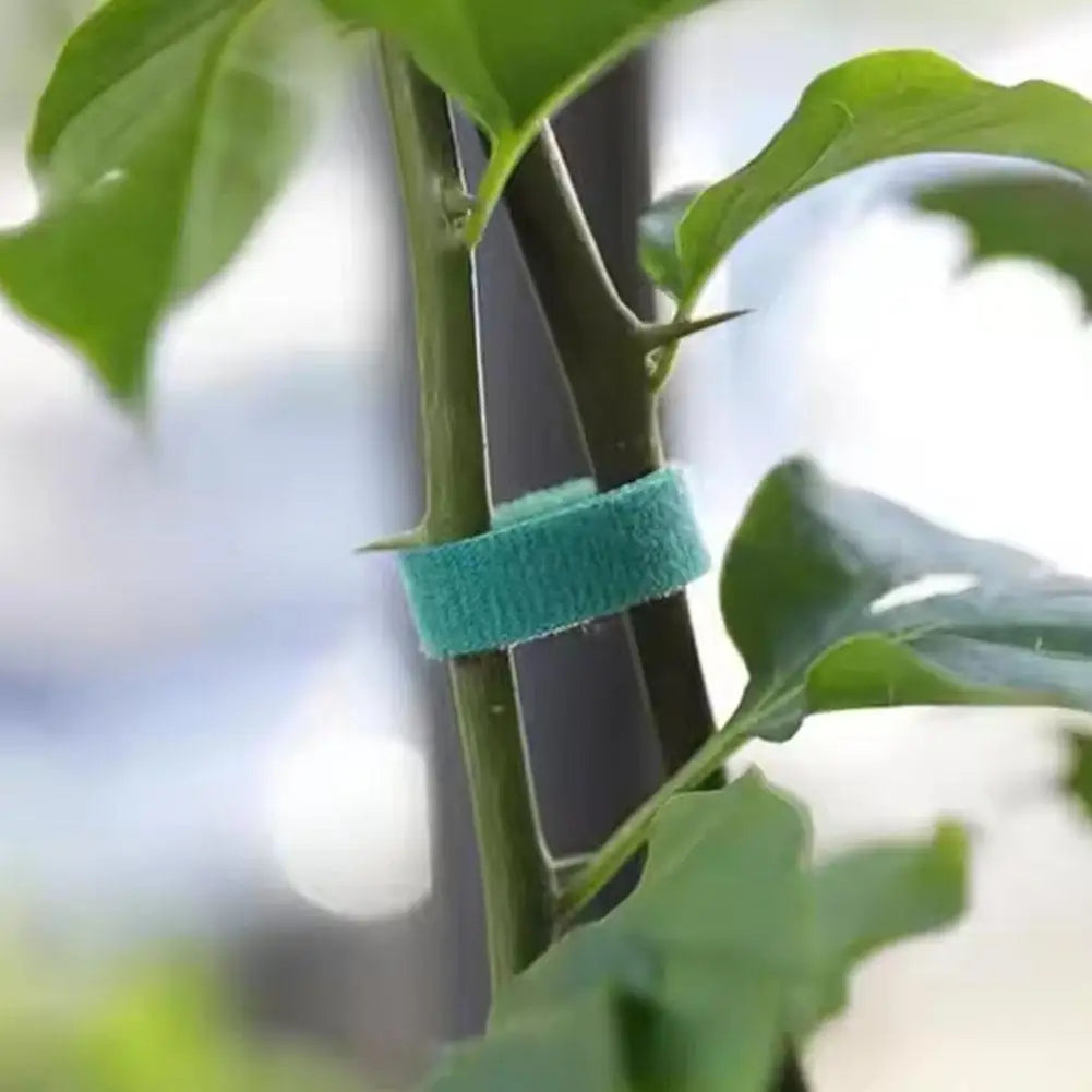 GreenGrip™ — Attaches de Jardin Réutilisables Ultra-Résistantes