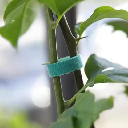 GreenGrip™ — Attaches de Jardin Réutilisables Ultra-Résistantes