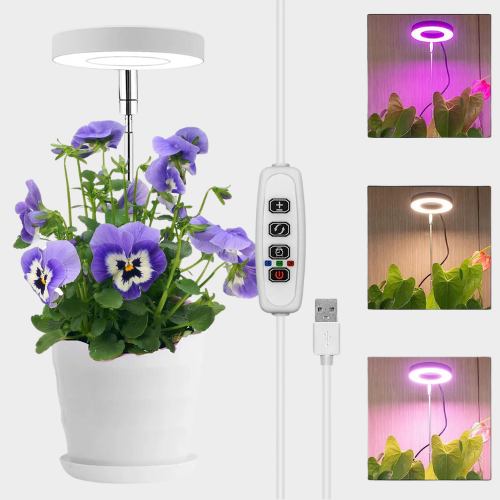 ThriveBeam™ - Lampe de Croissance LED à Spectre Complet