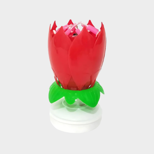FlowerCandle – La Bougie Magique d’Anniversaire