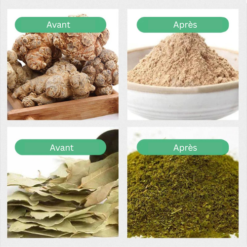 SteelSmash™ - Broyeur Électrique Multifonction Compact & Puissant