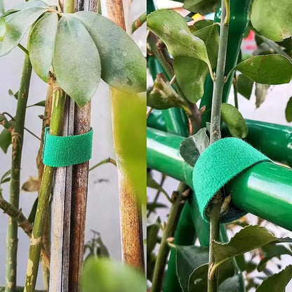 GreenGrip™ — Attaches de Jardin Réutilisables Ultra-Résistantes